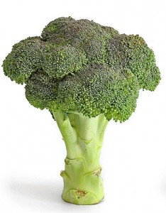 1 broccoli