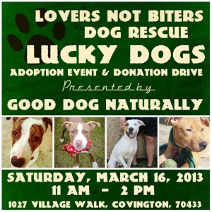Lovers Not Biters Adoption Day Good Dog Naturally