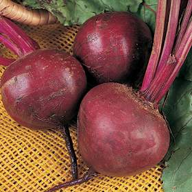 beetroot