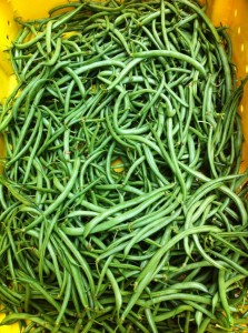 Nick at Grow.Farm has plenty of green beans and red potatoes! 