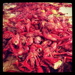 Crawfish_boil_jpeg