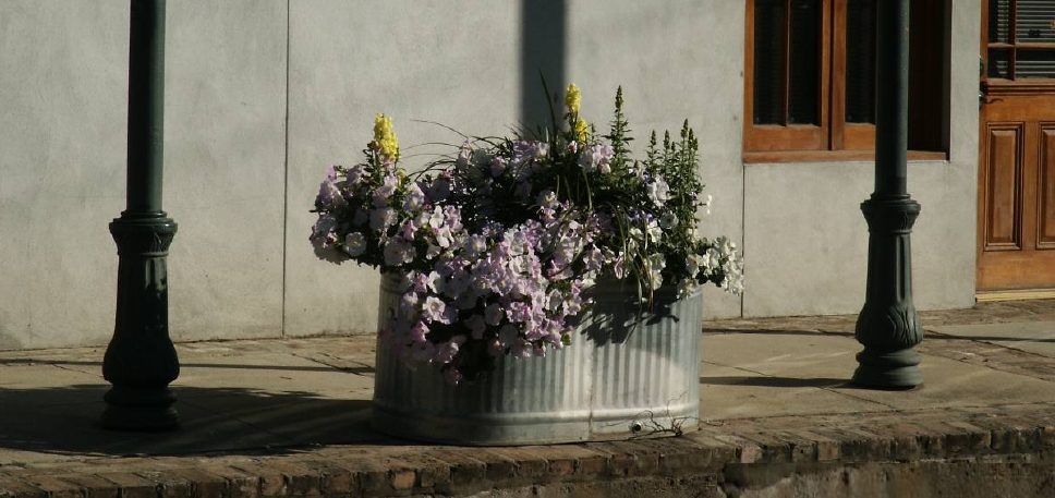 Columbia Street Planter