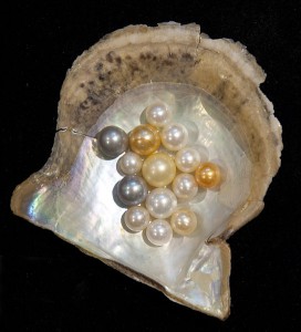 544px-Pearl-variety_hg