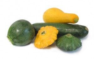 summersquash-group