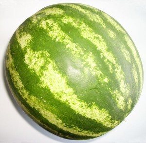 Single Watermelon