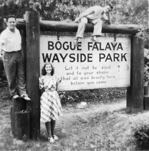 Bogue Falaya Park