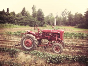 Support Your Local Farms!photo credit Grow.Farm, Covington Farmers Market