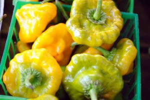 Scotch Bonnet Peppers from Slice of Heaven Farm