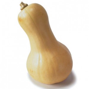 butternut squash