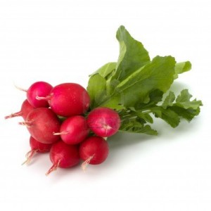 Radishes