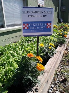 O'Keefe's Feed & Seed Supports Local Food Bank By Installing Vegetable Gardens