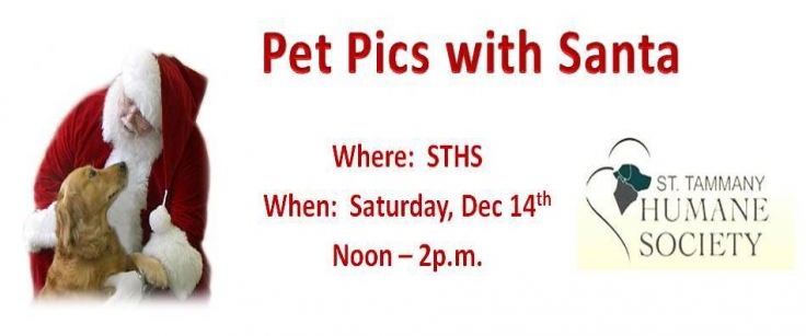 Pet Pics With Santa