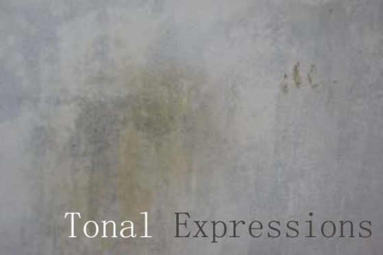 Tonal_Expressions_flattened_1_1