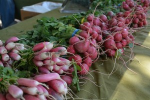 Radishes found at the Slice of Heaven Farm table