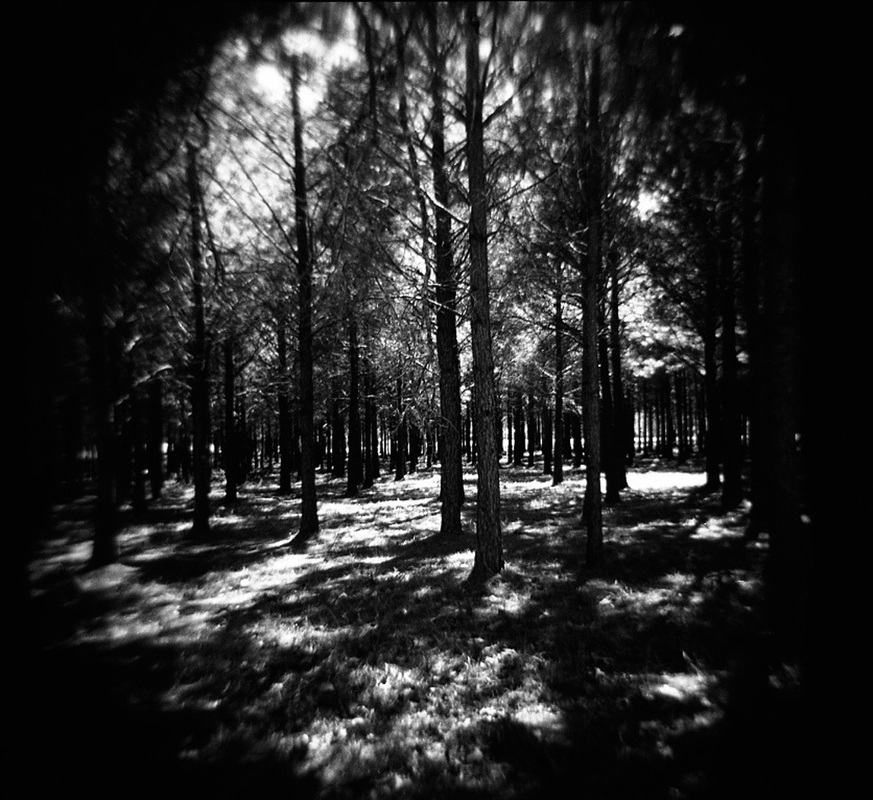 Yvette Brion Photography - Holga 2010