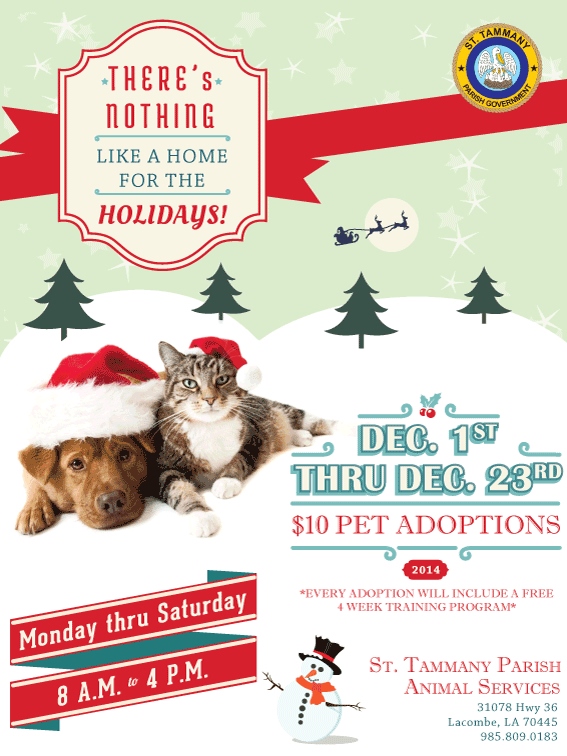 Pet Adoptions for the Holidays
