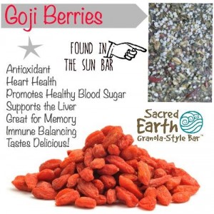 Sacred Earth Bars Goji Berries