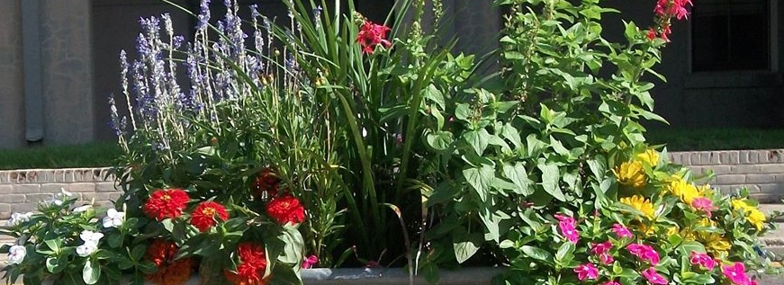 keep covington beautiful planter