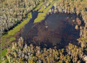 Image of the on-going sinkhole in Bayou Corne, Louisiana