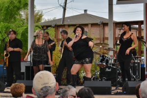 dRockin' the Rails Spring 2014 - Vince Vance & the Valiants