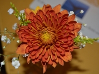 The English Tea Room, Downtown Covington, LA