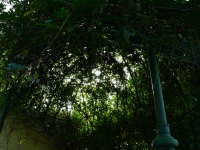 The English Tea Room, Downtown Covington, LA