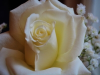 The English Tea Room, Downtown Covington, LA