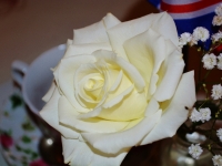 The English Tea Room, Downtown Covington, LA