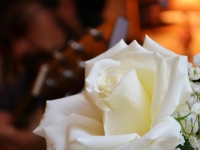 The English Tea Room, Downtown Covington, LA