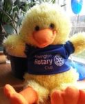 rotary duck