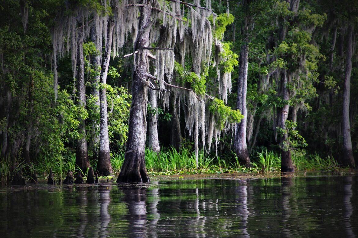 St. Tammany Parish President Mike Cooper Announces Comprehensive Development Plan Update