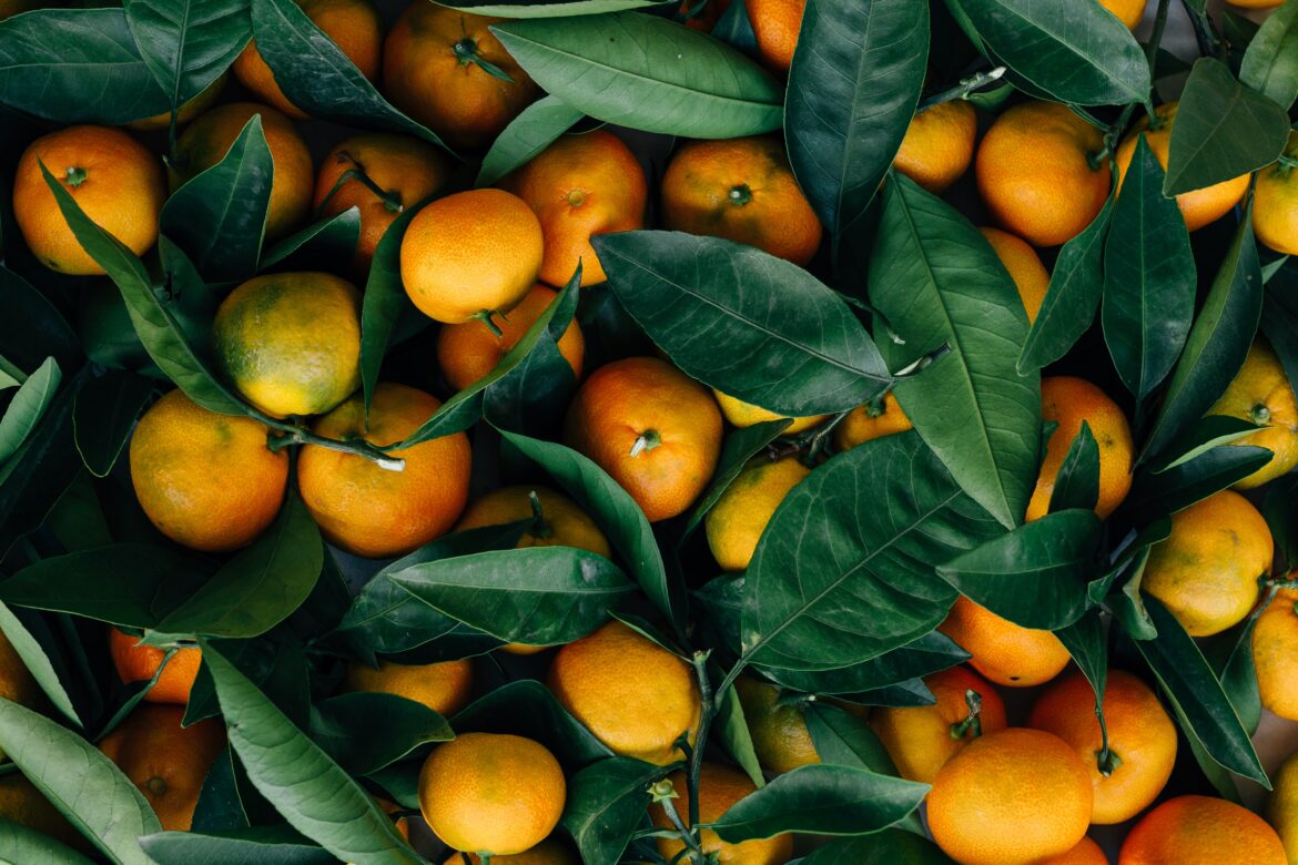 Farmers’ Market Recipe: Satsuma Vinaigrette with Fresh Greens Salad